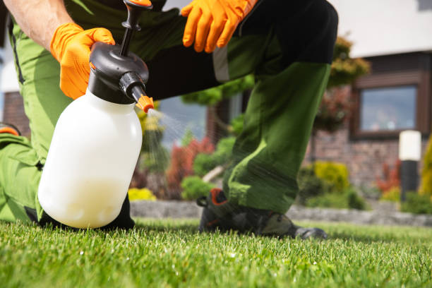Best Rat Extermination Near Me  in Old Bethpage, NY