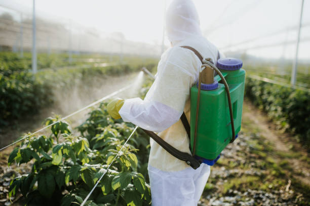  Old Bethpage, NY Pest Control Pros